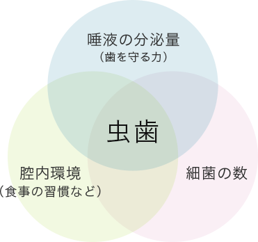 虫歯と口内細菌の関係図